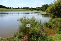Lake photos at Sapphire 