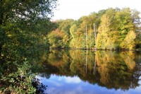 Lake photos at Alder 