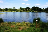 Lake photos at Sapphire 