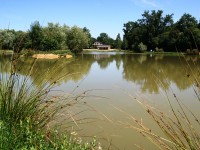 Lake photos at Oakview 