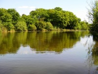 Lake photos at Oakwood 