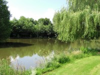 Lake photos at Toms 