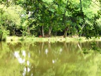 Lake photos at Hideaway 