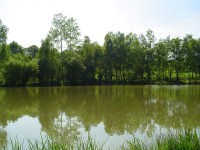 Lake photos at Genets 