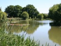 Lake photos at Lillypool 