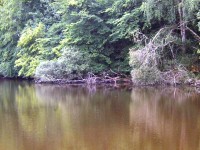 Lake photos at Alder 