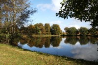 Lake photos at Alder 