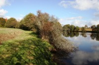 Lake photos at Alder 