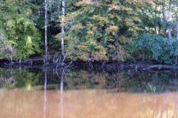 Lake photos at Alder 