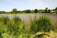 Lake photos at Sapphire 
