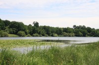 Lake photos at Sapphire 