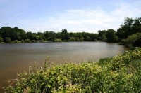 Lake photos at Sapphire 