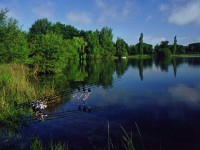 Lake photos at Laroussi 