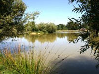 Lake photos at Oakview 