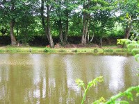 Lake photos at Hideaway 