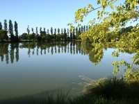 Lake photos at Malvoisine 