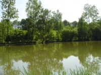 Lake photos at Genets 