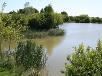 Lake photos at Lillypool 