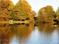 Lake photos at Alder 