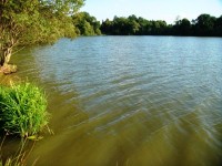 Lake photos at Sapphire 