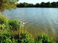 Lake photos at Sapphire 