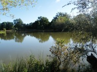 Lake photos at Oakview 