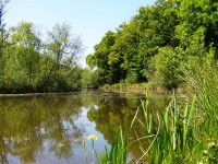 Lake photos at Oakwood 
