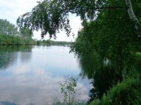 Lake photos at Old Oaks 