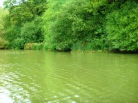 Lake photos at Sapphire 