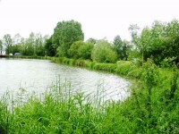 Carp lake at Morgane carp lake in France. 