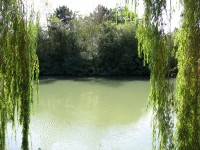 Lake photos at Molyneux 
