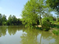 Lake photos at Genets 