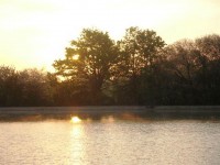 Lake photos at Lords 