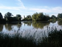 Lake photos at Oakview 
