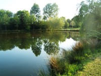 Lake photos at Toms 