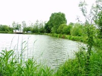 Carp lake at Morgane carp lake in France. 