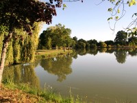 Lake photos at Malvoisine 