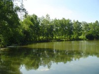 Lake photos at Genets 