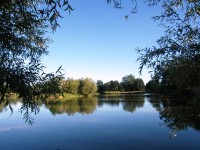 Lake photos at Oakview 