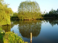 Lake photos at Toms 
