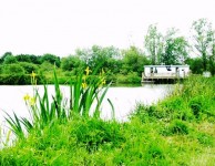 Carp lake at Morgane carp lake in France. 