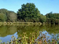 Lake photos at Glehias 