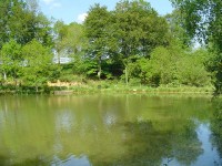 Lake photos at Genets 