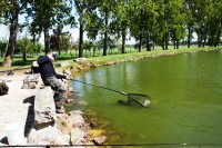 Lake photos at Vincons 