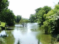 Lake photos at Watersmeet 