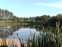 Lake photos at Boomerang 