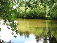 Lake photos at Hideaway 