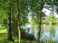 Lake photos at Genets 