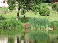 Lake photos at Bletiere 