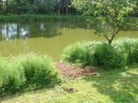 Lake photos at Bletiere 